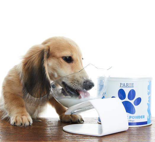 benefit of parie for dog